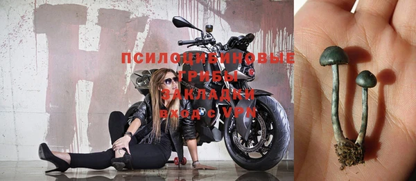 apvp Алексеевка