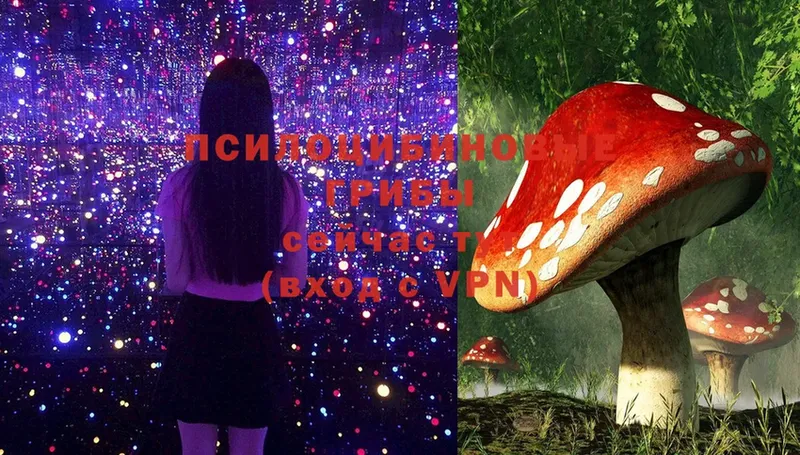 kraken как зайти  Глазов  Галлюциногенные грибы MAGIC MUSHROOMS  наркотики 