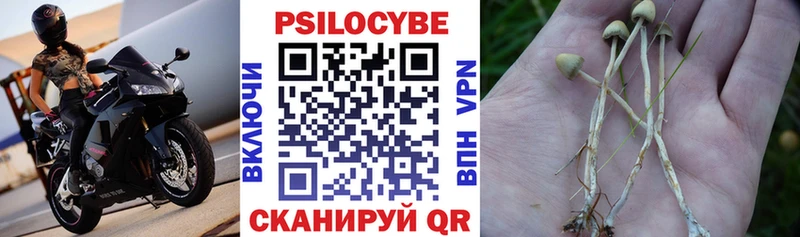 Галлюциногенные грибы MAGIC MUSHROOMS Глазов