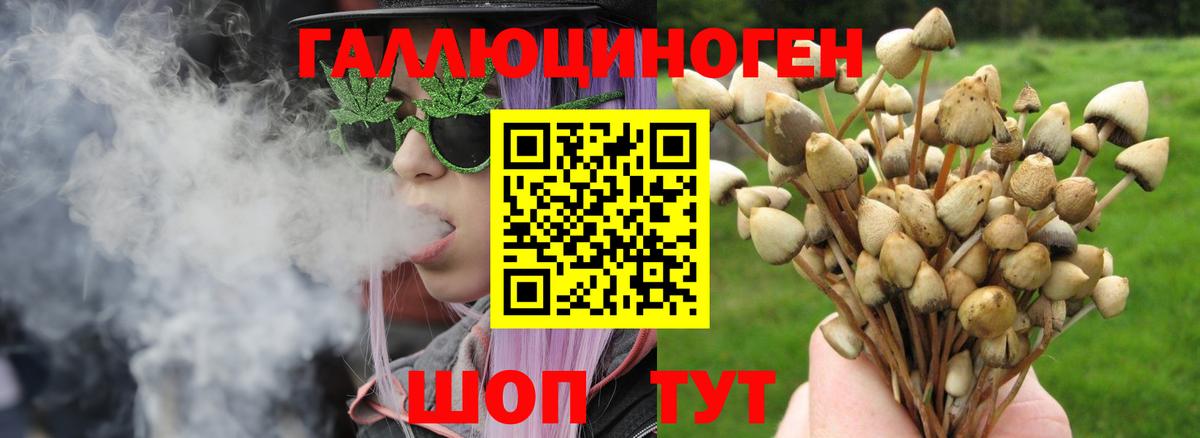 Галлюциногенные грибы GOLDEN TEACHER Глазов