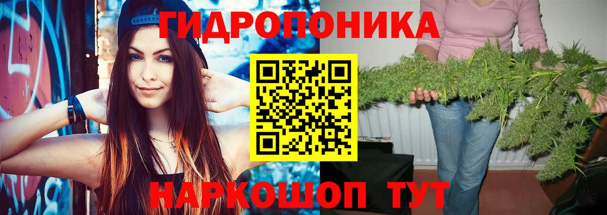 МАРИХУАНА ГИДРОПОН  Бошки Шишки план  МАРИХУАНА AK-47  Глазов 